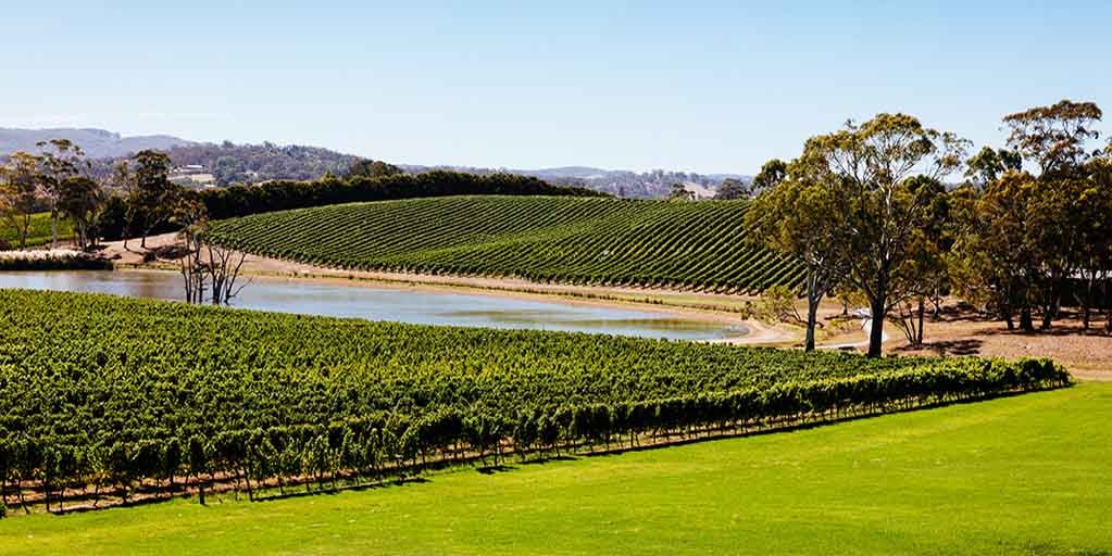 Australian Wine Adelaide Hills Wine Region
